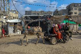 Daily Life In Gaza