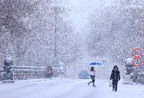 Heavy Snow Hit Altay