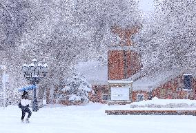 Heavy Snow Hit Altay