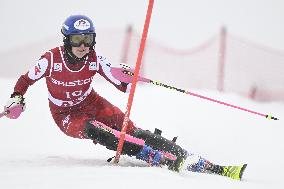 ALPINE SKIING WC SLALOM