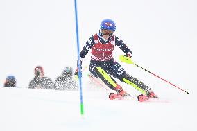 ALPINE SKIING WC SLALOM