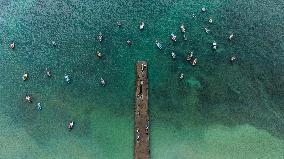 Fishing Harbors In Sri Lanka