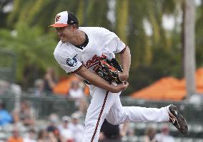 Baseball: MLB spring training