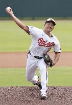Baseball: MLB spring training