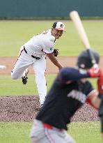 Baseball: MLB spring training