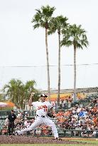Baseball: MLB spring training