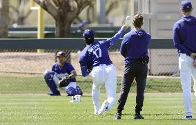 Baseball: MLB spring training