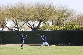 Baseball: MLB spring training