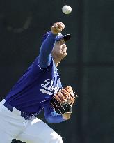 Baseball: MLB spring training