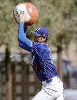 Baseball: MLB spring training