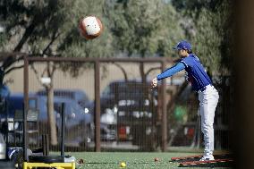 Baseball: MLB spring training