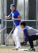 Baseball: MLB spring training