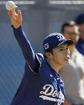 Baseball: MLB spring training