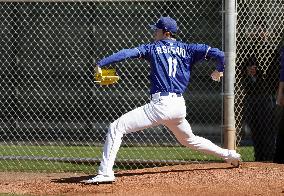 Baseball: MLB spring training