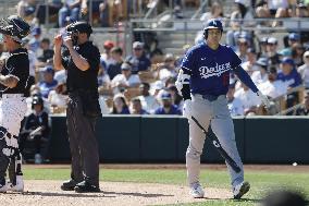 Baseball: MLB spring training