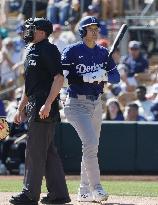 Baseball: MLB spring training