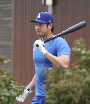 Baseball: MLB spring training