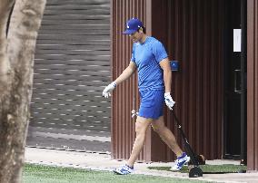 Baseball: MLB spring training