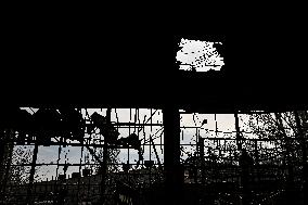 Repairing volunteer workshop in Zaporizhzhia after Russian drone attack