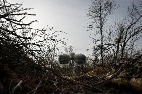 Ukrainian artillery unit in Zaporizhzhia direction