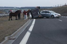 Horse Trailer Accident In Poland