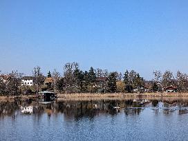 An Afternoon At Bavarian Lake Staffelsee