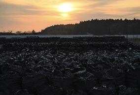 14th anniversary of 2011 Great East Japan Earthquake