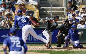 Baseball: MLB spring training