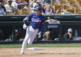 Baseball: MLB spring training