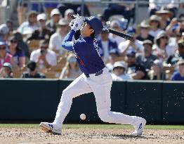 Baseball: MLB spring training