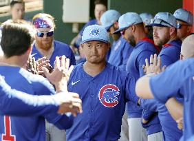Baseball: MLB spring training