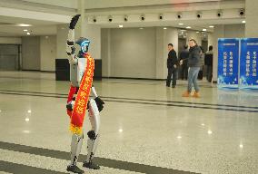 Chinese Humanoid Robot Market