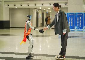 Chinese Humanoid Robot Market