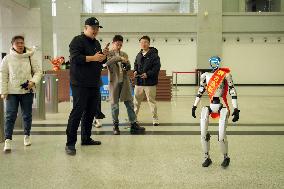 Chinese Humanoid Robot Market