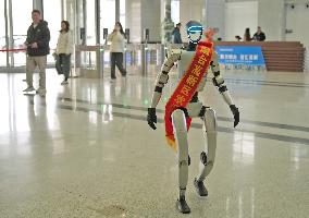 Chinese Humanoid Robot Market