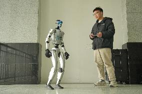 Chinese Humanoid Robot Market