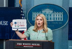 White House Press  Briefing Bye Karolin Levitt  Talks To Press