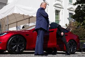 DC: President Trump views Tesla vehicles in Front of The White House
