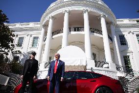 DC: President Trump views Tesla vehicles in Front of The White House