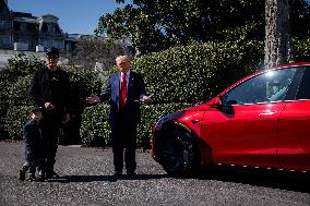 DC: President Trump views Tesla vehicles in Front of The White House