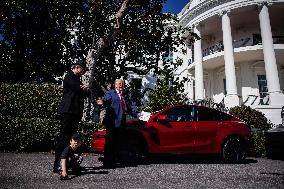 DC: President Trump views Tesla vehicles in Front of The White House