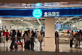 Freshippo Store in Shanghai