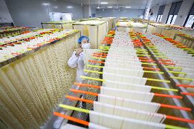 Noodle Export in Chongqing