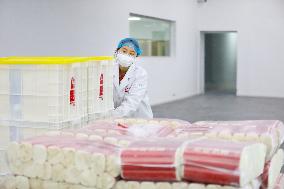 Noodle Export in Chongqing