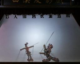Shadow Play