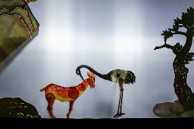 Shadow Play