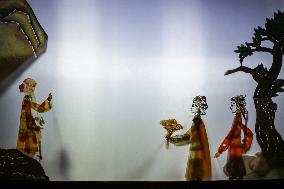 Shadow Play