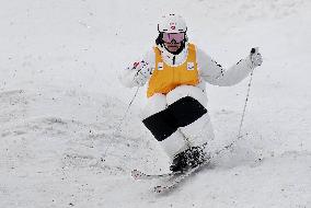Freestyle skiing: Moguls World Cup