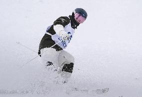 Freestyle skiing: Moguls World Cup