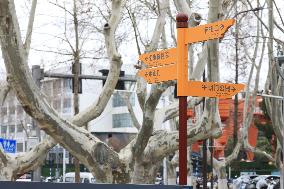 Ming Palace Museum Ruins Park New Street Signs in Nanjing